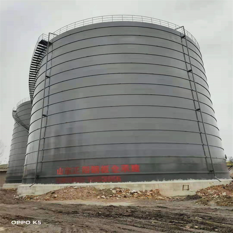 广西3万吨大型钢板库