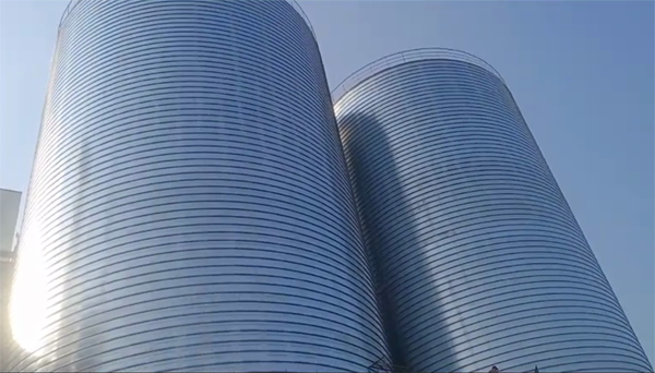 广西2座混凝土高架卷板仓